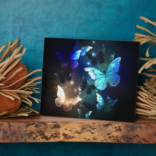 Schmetterling Fotoplatte (Seite)