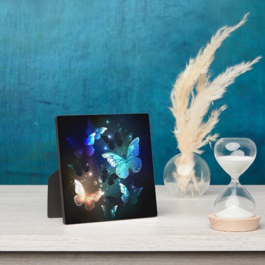 Schmetterling Fotoplatte (InSitu)