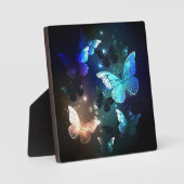 Schmetterling Fotoplatte (Vorderseite)