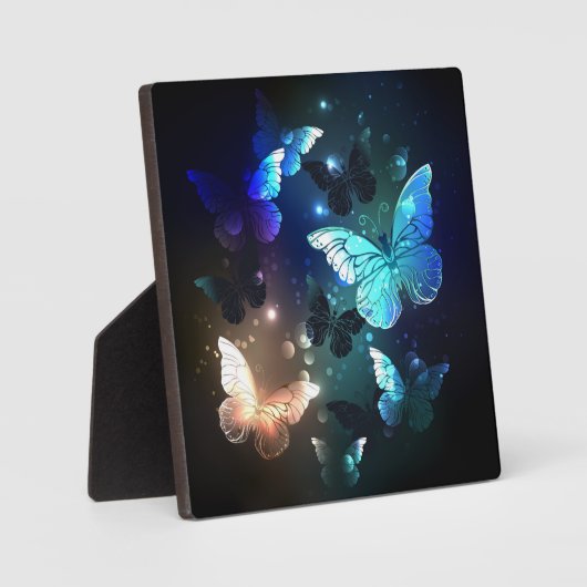 Schmetterling Fotoplatte (Vorderseite)