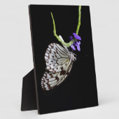 Schmetterling Fotoplatte (Seite)