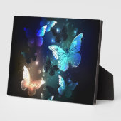 Schmetterling Fotoplatte (Seite)