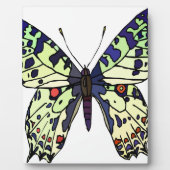 Schmetterling Fotoplatte (Vorderseite)