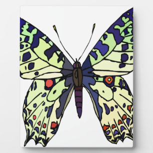 Schmetterling Fotoplatte