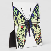 Schmetterling Fotoplatte (Seite)