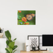 Schmetterling, fütternd auf poster (Heimbüro)