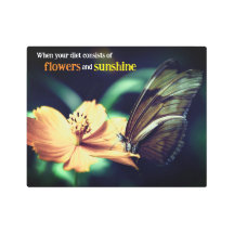 Schmetterling füttre auf Blume