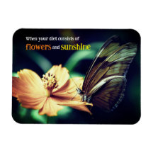 Schmetterling füttre auf Blume