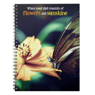 Schmetterling füttre auf Blume Notizblock