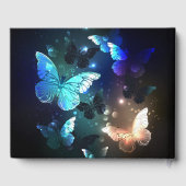 Schmetterling Gästebuch (Rückseite)