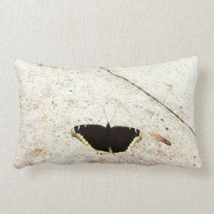 Schmetterling gegen lumbales Steinkissen Lendenkissen