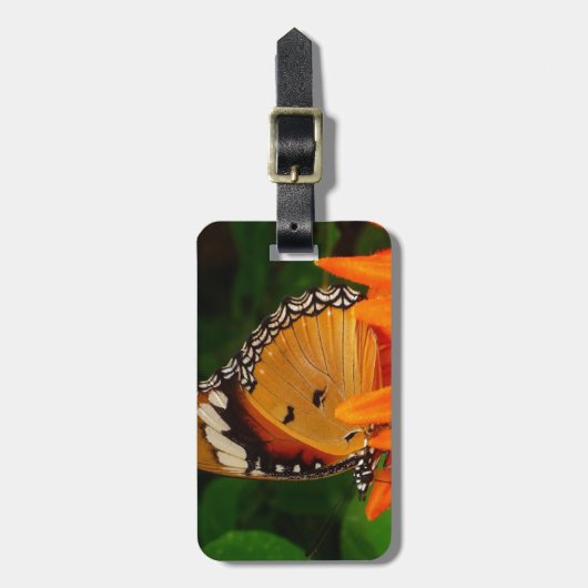 Schmetterling Gepäckanhänger (Vorderseite vertikal)