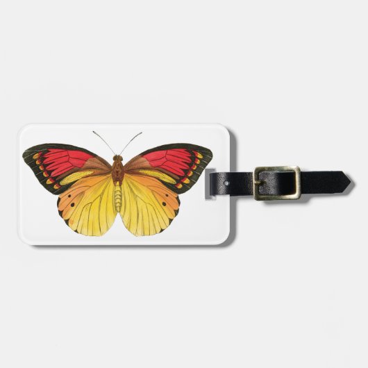 Schmetterling-Gepäckanhänger Gepäckanhänger (Vorderseite horizontal)