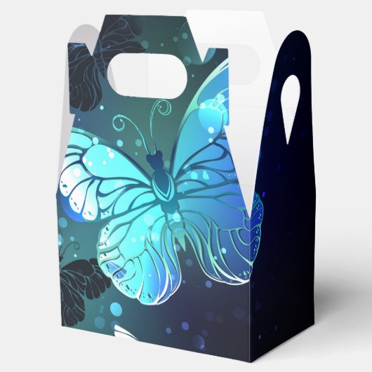 Schmetterling Geschenkschachtel (Geöffnet)