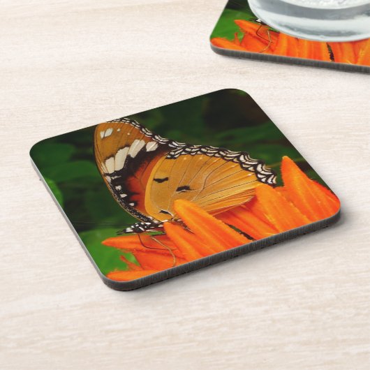 Schmetterling Getränkeuntersetzer (Linke Seite)