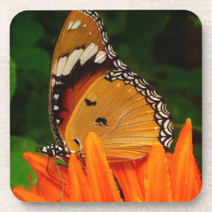 Schmetterling Getränkeuntersetzer