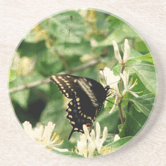 Schmetterling Getränkeuntersetzer (Vorne)