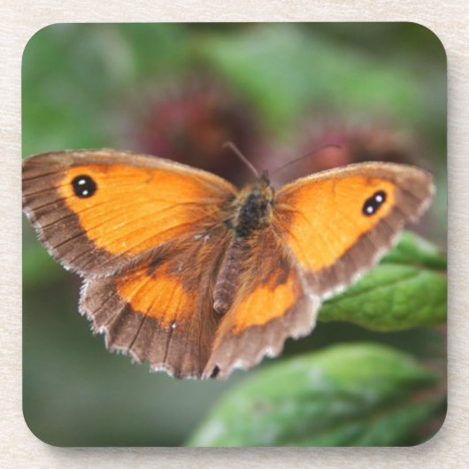 Schmetterling Getränkeuntersetzer (Vorderseite)