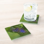 Schmetterling Glasuntersetzer (Schrägansicht)