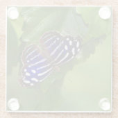 Schmetterling Glasuntersetzer (Rückseite)