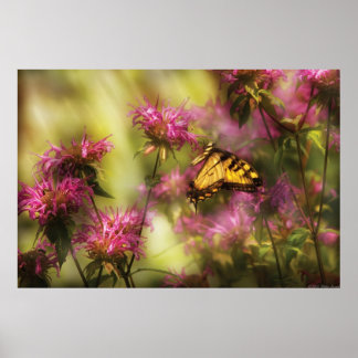 Schmetterling - Goldenes Zeitalter Poster