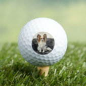 Schmetterling Golfball (Insitu T-Shirt)