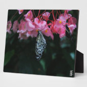 Schmetterling hängt an Blumen Fotoplatte (Seite)