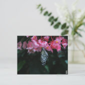 Schmetterling hängt an Blumen Postkarte (Stehend Vorderseite)