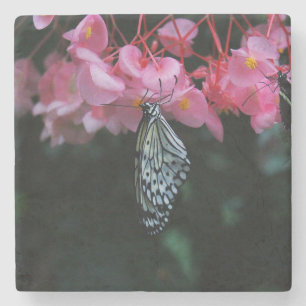 Schmetterling hängt an Blumen Steinuntersetzer