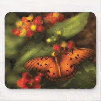 Schmetterling - Heliconius Mousepad