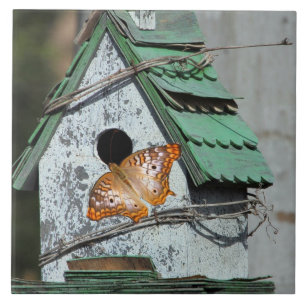 Schmetterling im Birdhouse-Tile Fliese