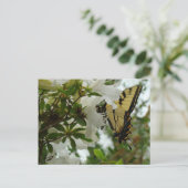 Schmetterling im Frühling Postkarte (Stehend Vorderseite)