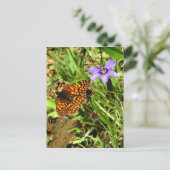 Schmetterling im Frühling Postkarte (Stehend Vorderseite)