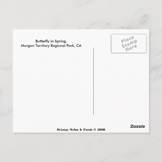 Schmetterling im Frühling Postkarte (Rückseite)
