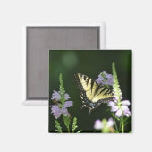 Schmetterling im Garten Magnet (Vorderseite/Rückseite)