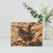 Schmetterling im Schmutz Postkarte (Stehend Vorderseite)