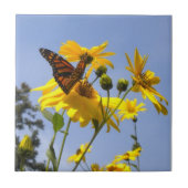 Schmetterling im Sky 2 Tile Trivet Fliese (Vorderseite)