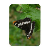 Schmetterling im Snowball-Buschmagnet Magnet (Vertikal)