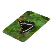 Schmetterling im Snowball-Buschmagnet Magnet (Linke Seite)