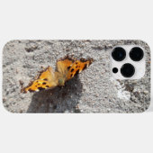 Schmetterling im Sonnenschein Case-Mate iPhone Hülle (Rückseite (Horizontal))