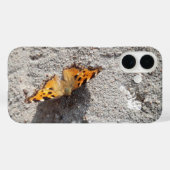 Schmetterling im Sonnenschein Case-Mate iPhone Hülle (Rückseite (Horizontal))