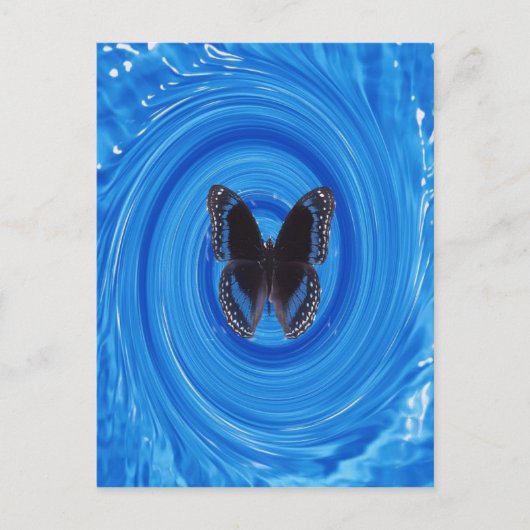 Schmetterling im Whirlpool, Postkarte (Vorderseite)