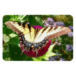 Schmetterling im Zinnia-Foto Magnet
