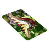 Schmetterling im Zinnia-Foto Magnet (Rechte Seite)