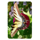 Schmetterling im Zinnia-Foto Magnet (Vertikal)
