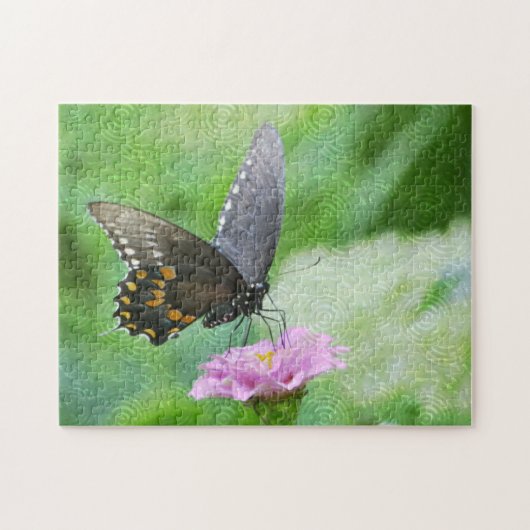 Schmetterling im Zinnia Puzzle (Horizontal)