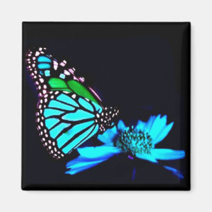 Schmetterling in blauem Licht Magnet
