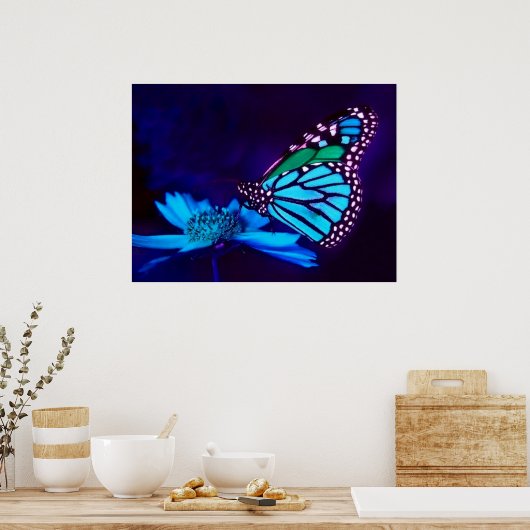Schmetterling in blauem Poster (Küche)