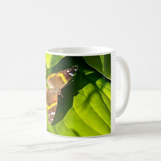 Schmetterling in der Sonne Kaffeetasse (VorderseiteRechts)