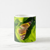 Schmetterling in der Sonne Kaffeetasse (Mittel)